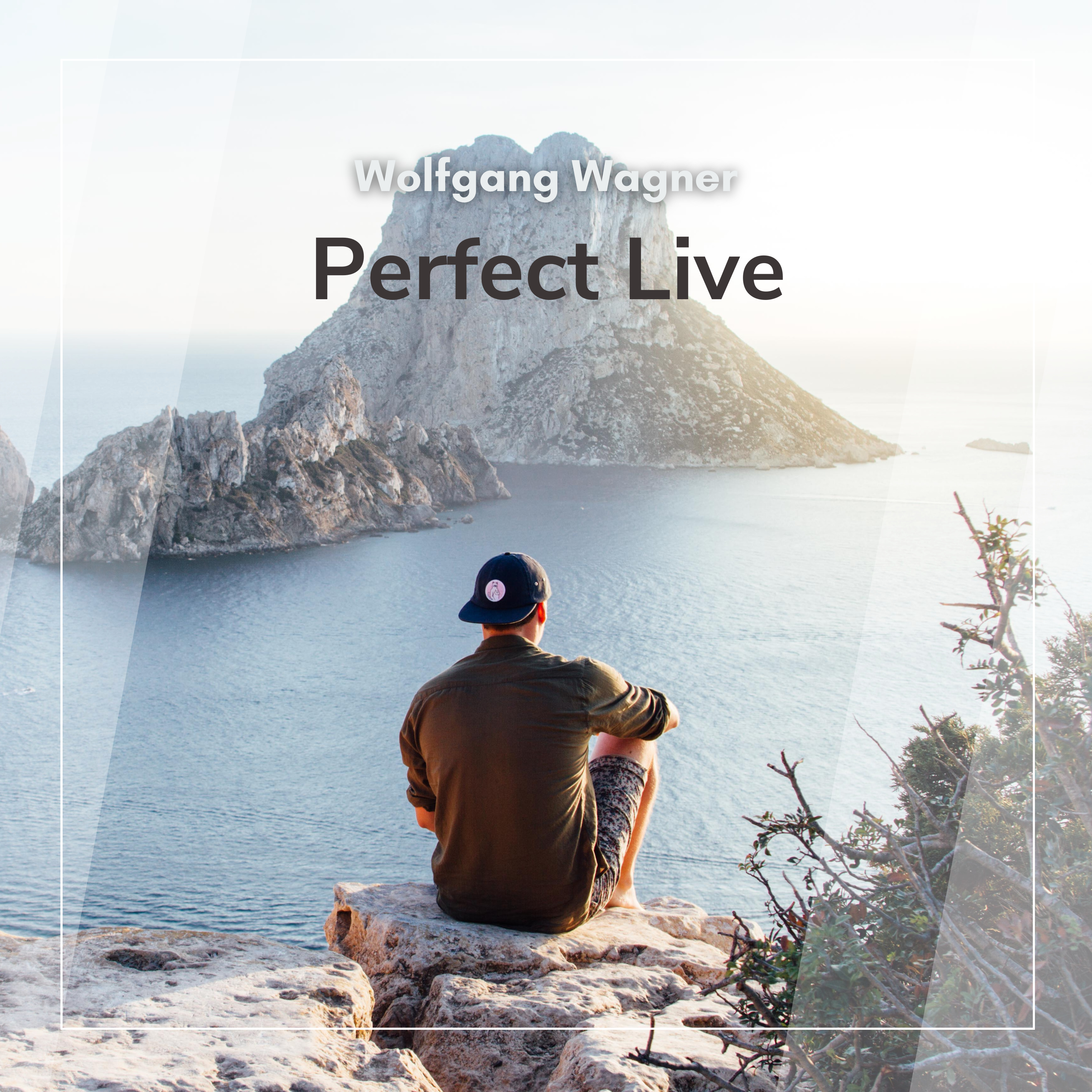 Cover: Perfect Live